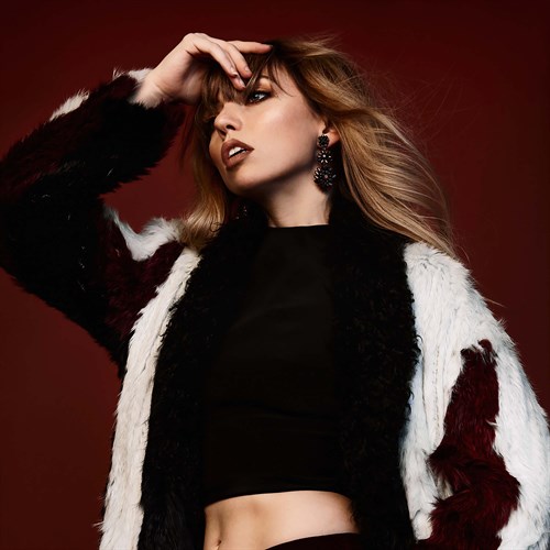 Elinchrom Litemotiv 120 cm