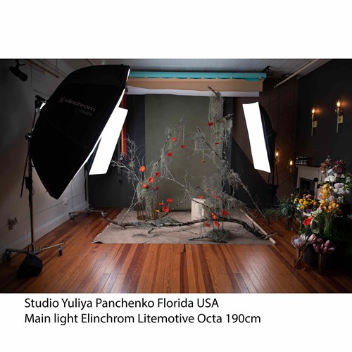 Yuliya Panchenko Litemotiv 190