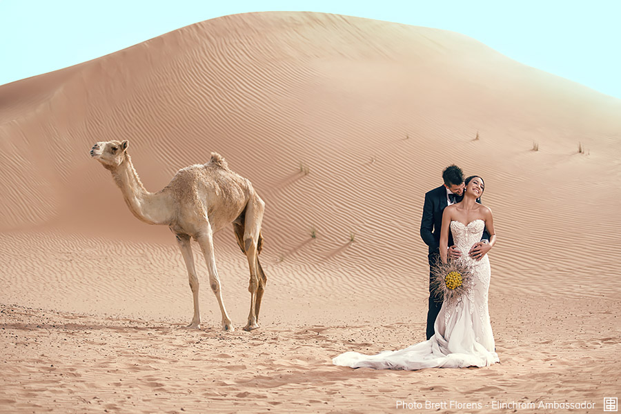 Ad:001 florens-001.jpg