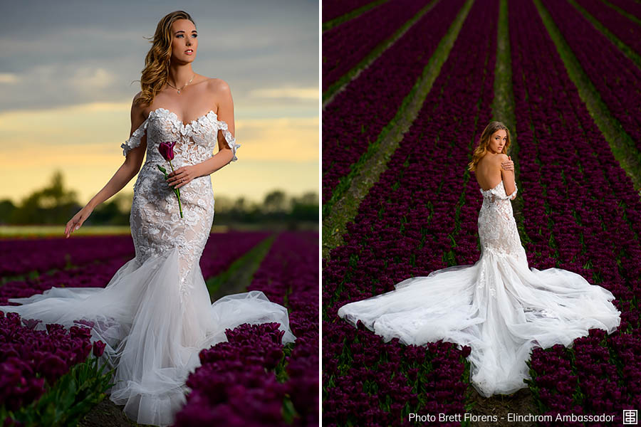 Ad:003 florens-003.jpg