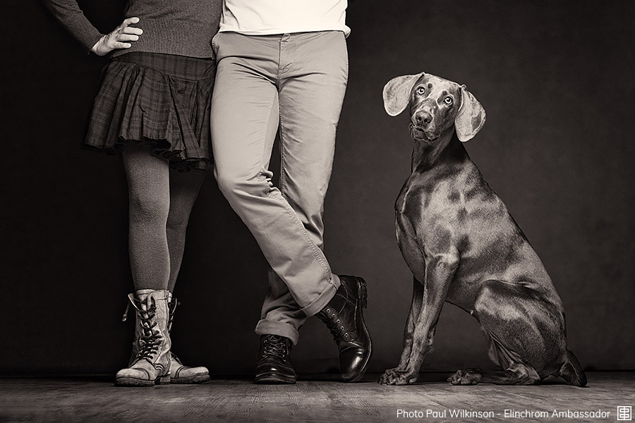 Ad:001 wilkinson-001.jpg